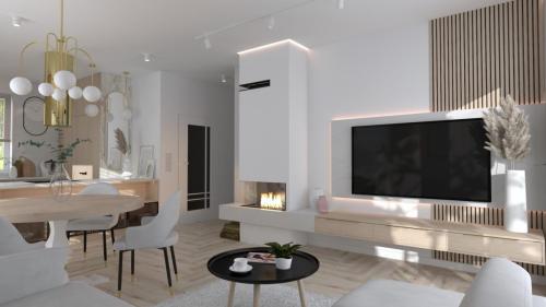 KARRA SYSTEM - projekt 1 salon  kuchnia 11