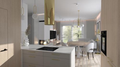 KARRA SYSTEM - projekt 1 salon  kuchnia 4